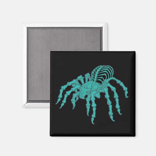Skelettarantula Magneet (Voorkant / Achterkant)