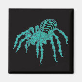 Skelettarantula Magneet (Voorkant)