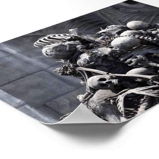 Skelettegel Poster (Hoek)