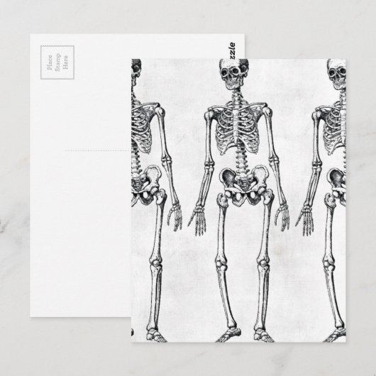 Skeletten Briefkaart (Voorkant / Achterkant)