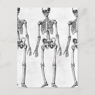 Skeletten Briefkaart