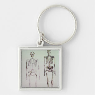 Skeletten van Australopithecus Boisei Sleutelhanger