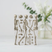 Skeletten van de Brockhaus en Efron Encyclopedia Briefkaart (Staand voorkant)