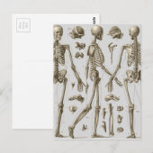 Skeletten van de Brockhaus en Efron Encyclopedia Briefkaart (Voorkant / Achterkant)