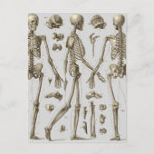 Skeletten van de Brockhaus en Efron Encyclopedia Briefkaart (Voorkant)