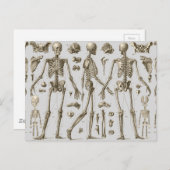 Skeletten van de Encyclopedie Brockhaus & Efron Briefkaart (Voorkant / Achterkant)
