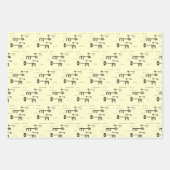 Skelettoets Inpakpapier Vel (Voorkant 2)