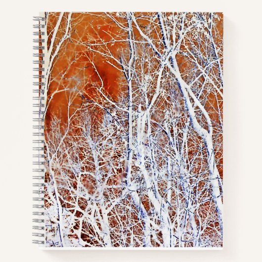 Skeletwoud II Notitieboek (Voorkant)