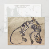 Skellie-Briefkaart Briefkaart (Voorkant / Achterkant)