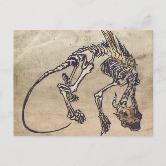 Skellie-Briefkaart Briefkaart (Voorkant)