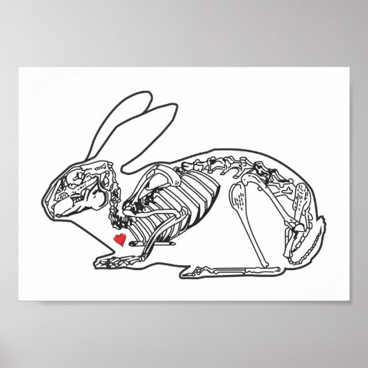 SKELLY BUN POSTER (Voorkant)