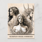 Sketch Art Olympian Greek Goddesses Briefkaart (Voorkant)