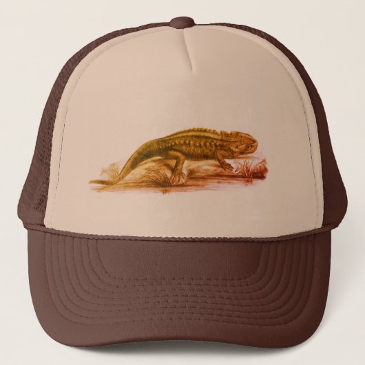 Sketch Garden Lizard Trucker Pet (Voorkant)
