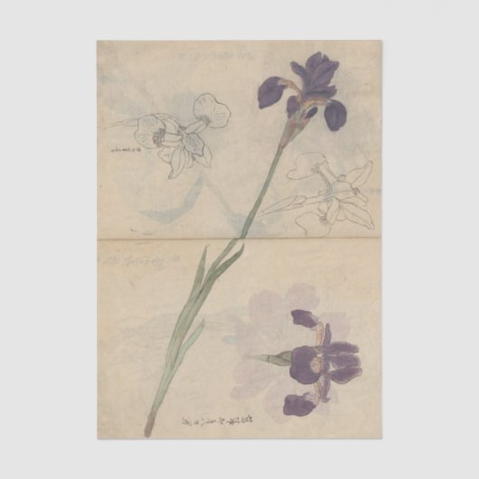 Sketchbook Pl. 085 by Ariyoshi Kondo Tissuepapier (Voorkant)