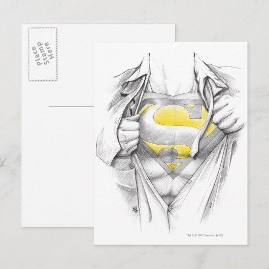 Sketched Chest Superman Logo Briefkaart (Voorkant / Achterkant)