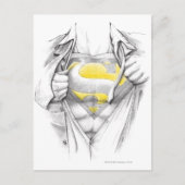 Sketched Chest Superman Logo Briefkaart (Voorkant)