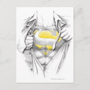 Sketched Chest Superman Logo Briefkaart