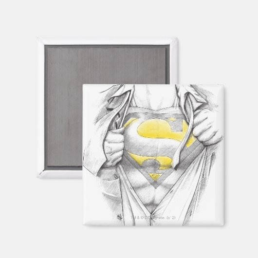Sketched Chest Superman Logo Magneet (Voorkant / Achterkant)
