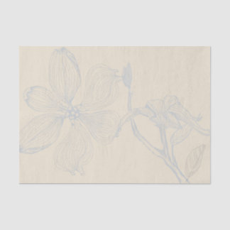 Sketched Dogwood Branch Lg Scale on Parchment Tissuepapier