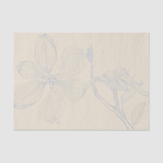 Sketched Dogwood Branch Lg Scale on Parchment Tissuepapier (Voorkant)