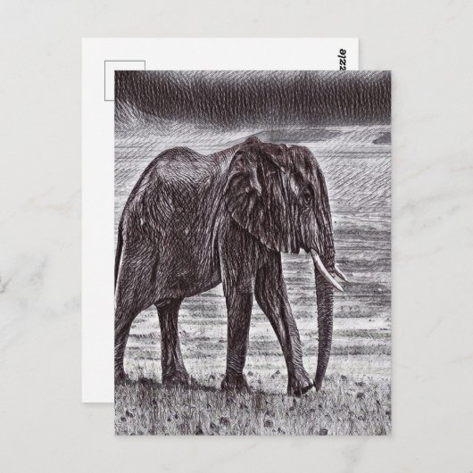 Sketched elephant briefkaart (Voorkant / Achterkant)