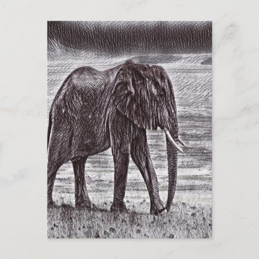 Sketched elephant briefkaart (Voorkant)