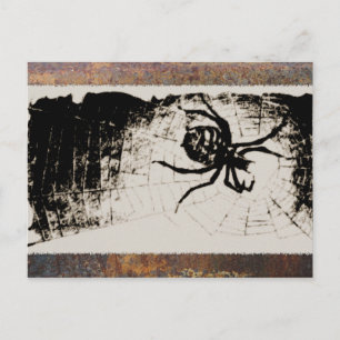 Sketchy Spider Briefkaart