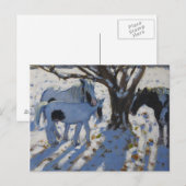 Skewbald Ponies in de winter van 2012 Briefkaart (Voorkant / Achterkant)