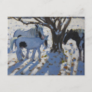 Skewbald Ponies in de winter van 2012 Briefkaart