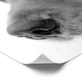 Ski Dog Poster (Hoek)