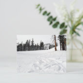 Ski- en Snowboard-Briefkaart voor sneeuwtrails Briefkaart (Staand voorkant)
