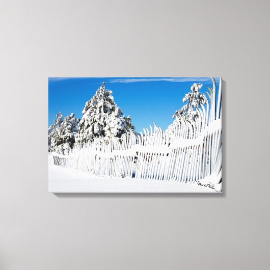 Ski Fence gecoat op sneeuwfoto Canvas Afdruk (Voorkant)