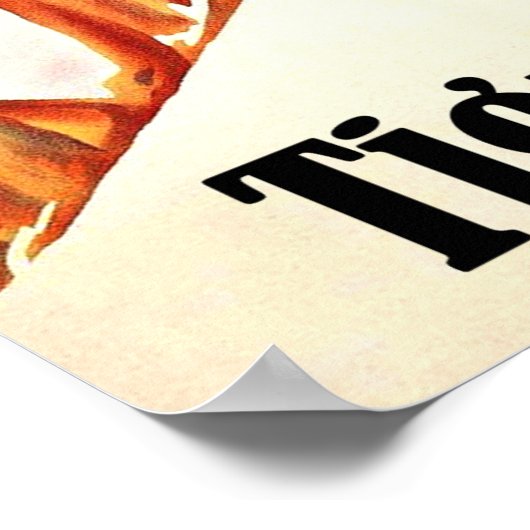 Ski lift in Tignes, Frankrijk Poster (Hoek)