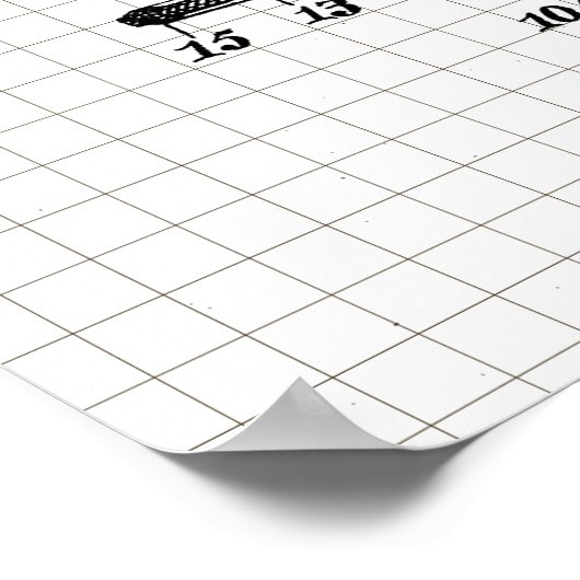 Ski Pole-octrooi Poster (Hoek)