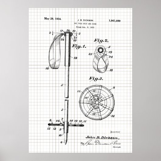  Ski Pole-octrooi Poster (Voorkant)