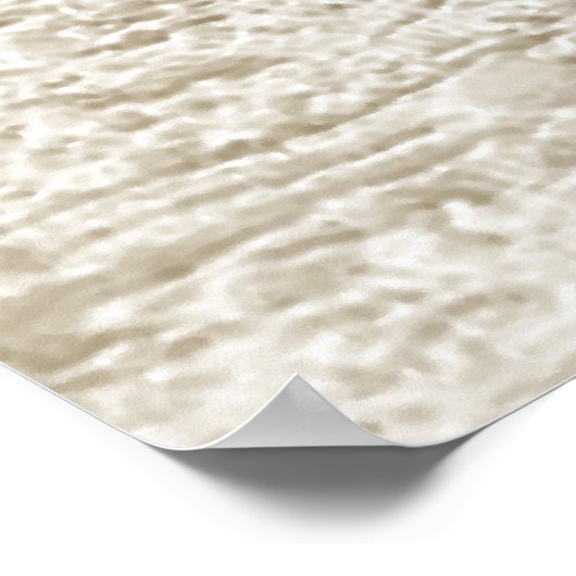 Ski Racing Slalom Skiing Sportdownhill Skiing Poster (Hoek)