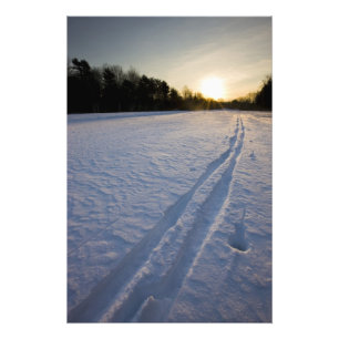 Ski sporen bij het Willowbrook Farm Preserve in Foto Afdruk