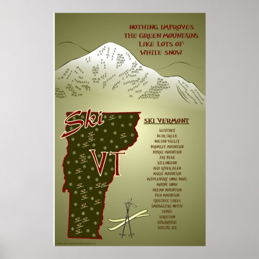 Ski VT Poster (Voorkant)