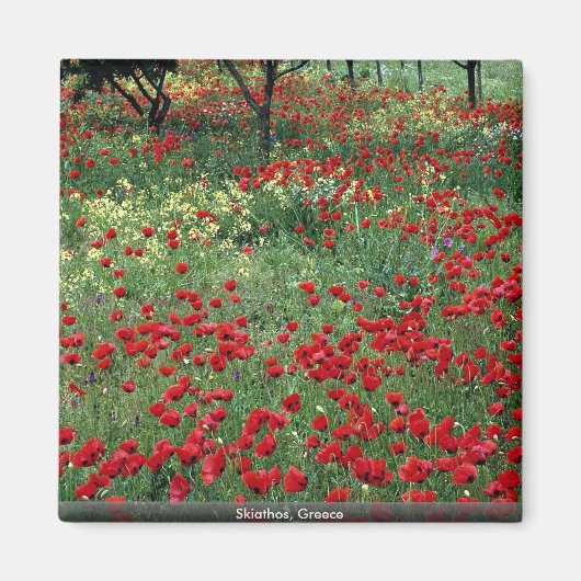 Skiathos, Griekenland Magneet (Voorkant)