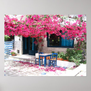 skiathos stad bougainvillea 1196 poster