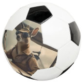 Skies: De Kangoeroe Pilot In Het Oude Vliegtuig Voetbal (Drie kwart)