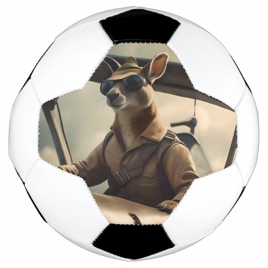 Skies: De Kangoeroe Pilot In Het Oude Vliegtuig Voetbal (Voorkant)