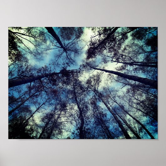 Skies Poëtisch Moment Waarde Poster Papier (Mat) (Voorkant)