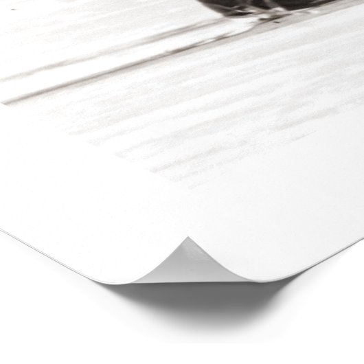  skihelling, glijdende bergafwaarts poster (Hoek)