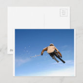 Skiing Briefkaart (Voorkant / Achterkant)