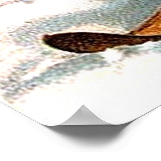 Skiing Santa Claus Poster (Hoek)