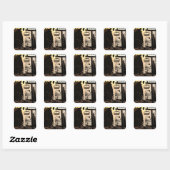 Skiliftzonneschermen voor stickers (Vel)