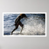 skim sun poster (Voorkant)