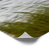 Skimmer Bird Photo Poster (Hoek)