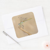 Skimmer Dragonfly Insect Vrouw (CC BY 4.0) Vierkante Sticker (Envelop)